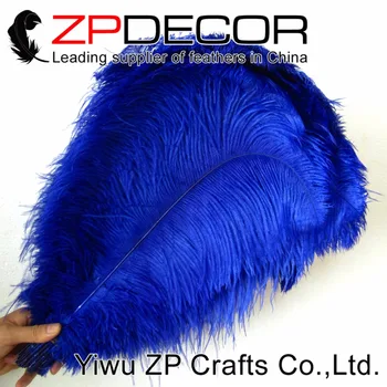ZPDECOR Gamyklos Ilgio Diapazoną, 45cm-50cm(18-20) Royal Blue Spalvos 50pieces/daug AUKŠČIAUSIOS Kokybės Stručio Plunksnų už Ravėjimą