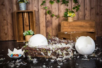Pavasario Gėlės, Velykų Fonas Fotografijai Kiaušiniai, kiaušinio lukštas, Medžio Lenta Naujagimis Kūdikio Dušas Šalis Reklama Fone Rekvizitai Studija