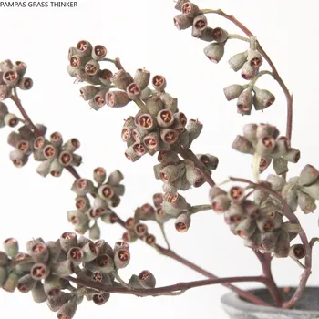 Džiovinti natūralūs nekilnojamojo eucalyptus globulus vaisių, gėlių krūva 10 stiebų nekilnojamojo gėlės namų puošybai