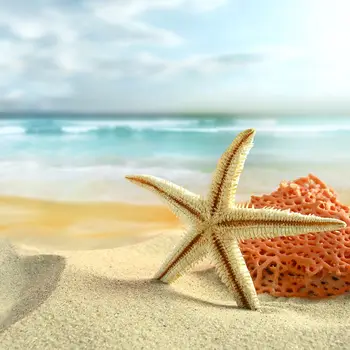 Dušo Užuolaidos Žvaigždė Smėlio Debesuotą Vasaros Dieną Paplūdimyje Taikaus Pobūdžio Romantiškas Peizažas Spausdinti Smėlio spalvos Žalia