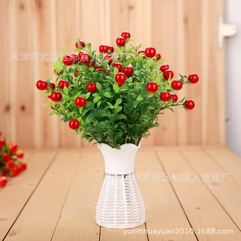 Modelis Vyšnių Pipirai Rūgštis Yra Siejama Gėlių Plastikinių Gėlių Namų Puošybai Darželio Dekoratyviniai Plastiko Imituojamas-vaisių Mo