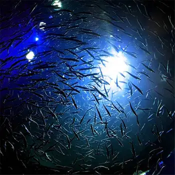 1 Vnt. Naujos Rūšies Žuvis Vilioja Šviesos samteliais Pritraukti Lempa Žalia Žvejybos Masalas LED Mirksi Šviesos Kalmarai Masalas
